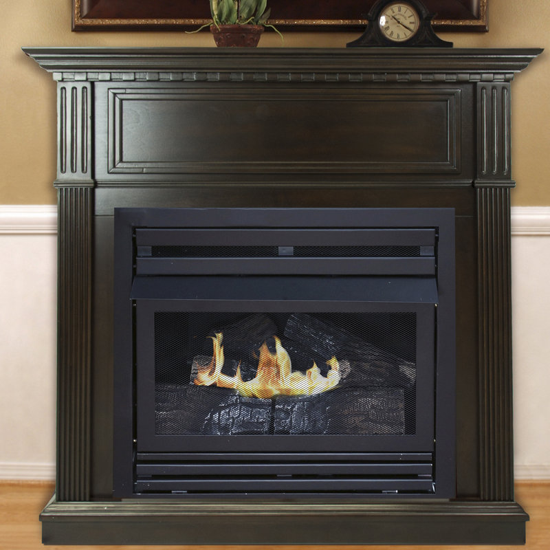 Darby Home Co Shawnda 42'' W Ventless Fireplace & Reviews Wayfair